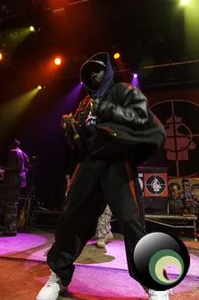 Public Enemy