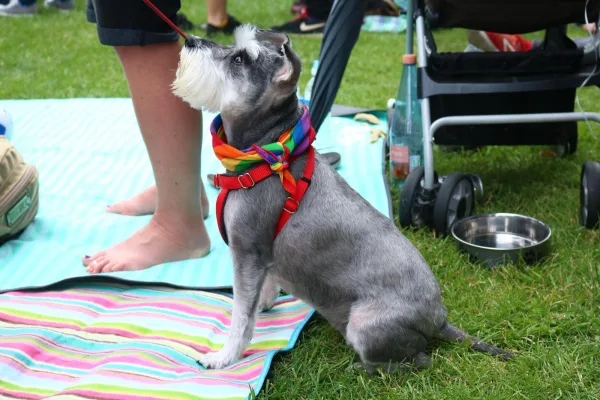 Pride 2016