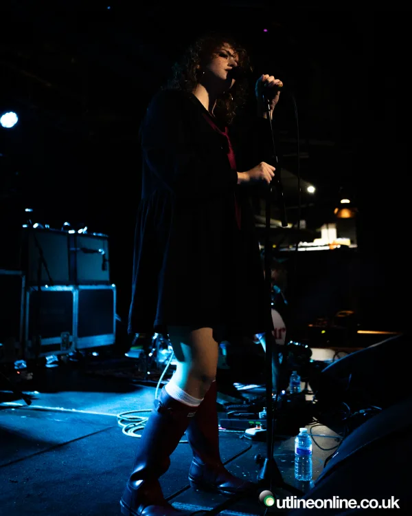 The Pigeon Detectives