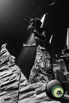 Bat for Lashes