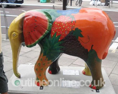 Go Elephants!