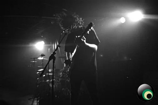 Breaking Sound present Love Buzzard