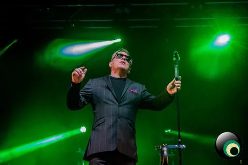 Madness @ Newmarket Racecourse