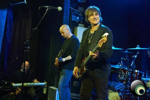 Chameleons Vox