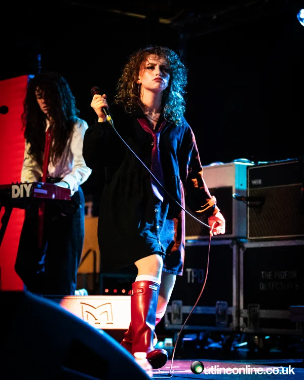 The Pigeon Detectives