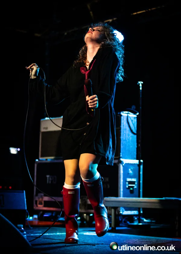 The Pigeon Detectives