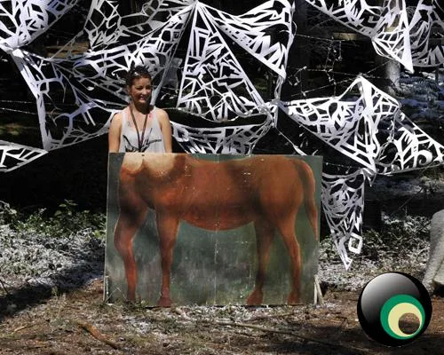 Latitude 2011