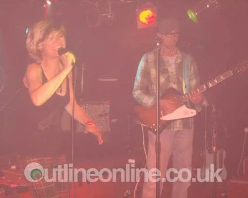 The Neutrinos