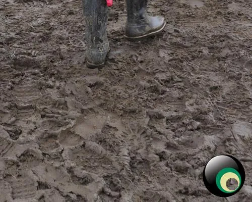 Latitude 2011