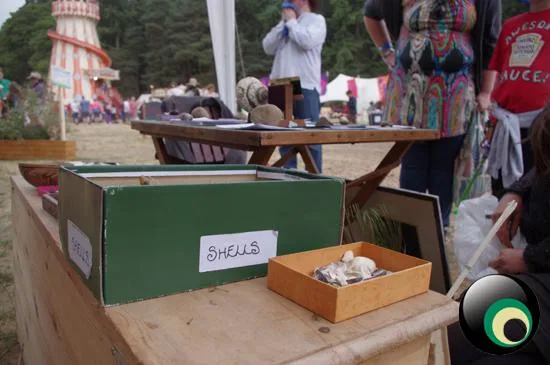 Latitude Festival 2013 // Part 1