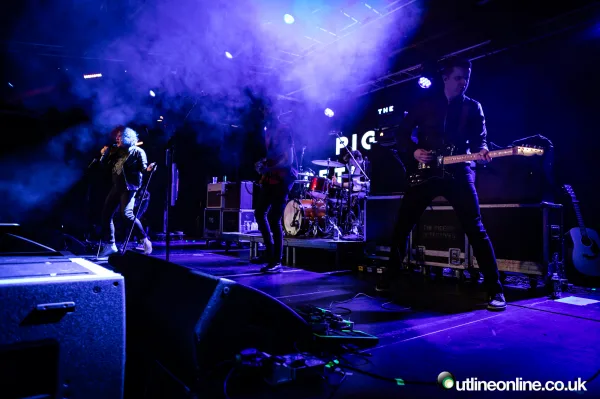 The Pigeon Detectives