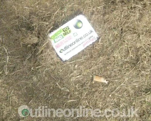 Sonisphere pt 1 2010