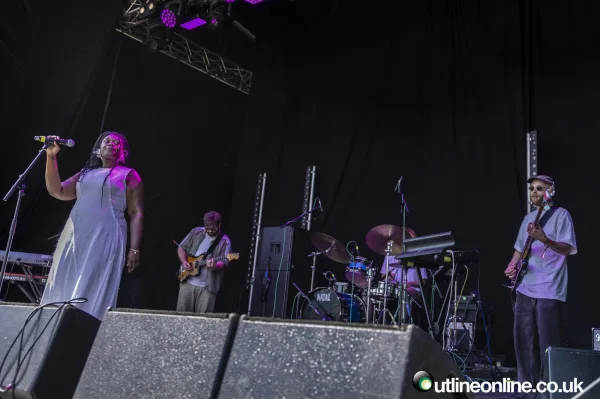 Wild Fields Festival 2024 Day 1