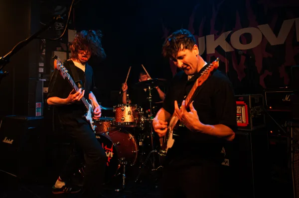 VUKOVI