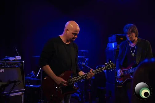 Chameleons Vox