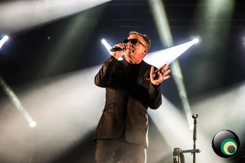 Madness @ Newmarket Racecourse