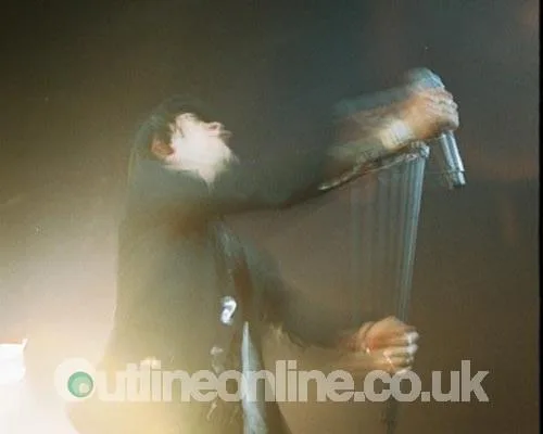 Maximo Park