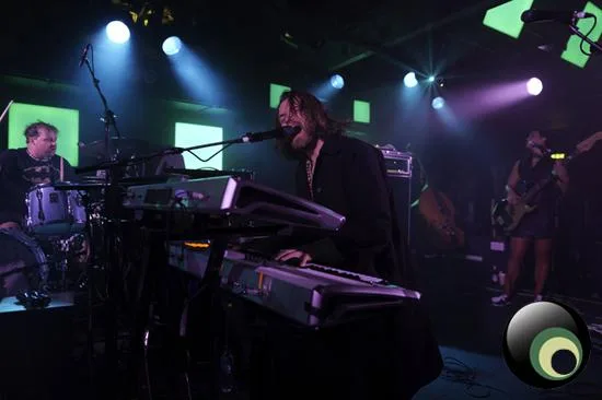 Guillemots