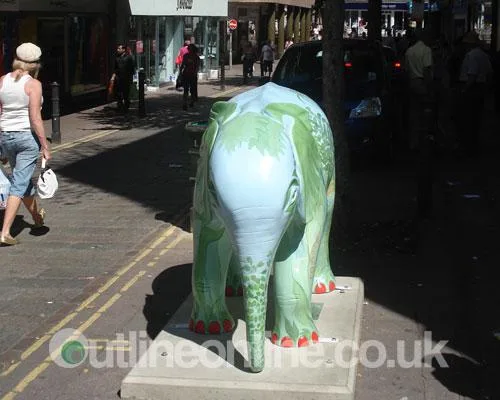 Go Elephants!
