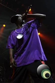 Public Enemy