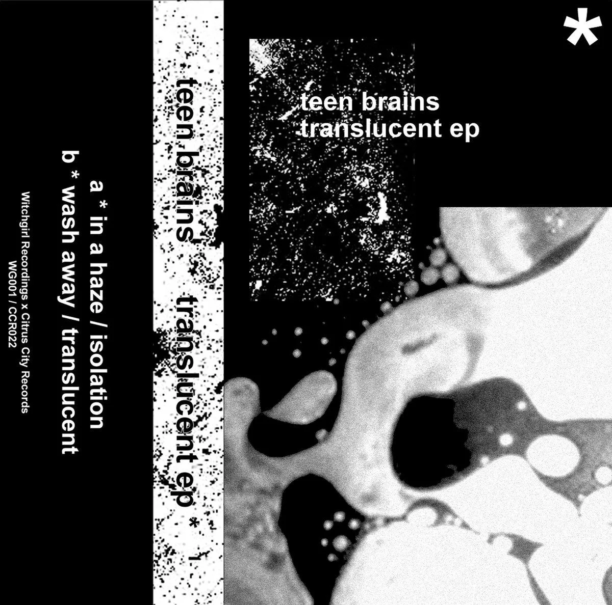 Teen Brains - Translucent