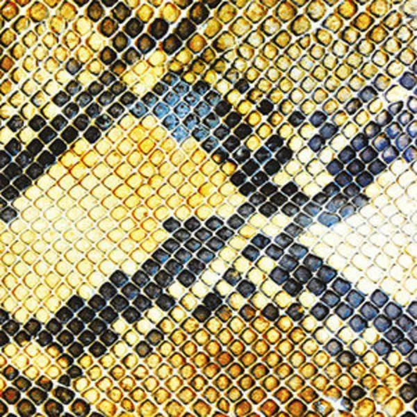 The Amazing Snakeheads // Amphetamine Ballads