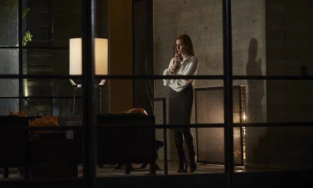 Nocturnal Animals