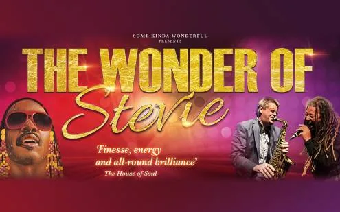 The Wonder of Stevie at Christmas
