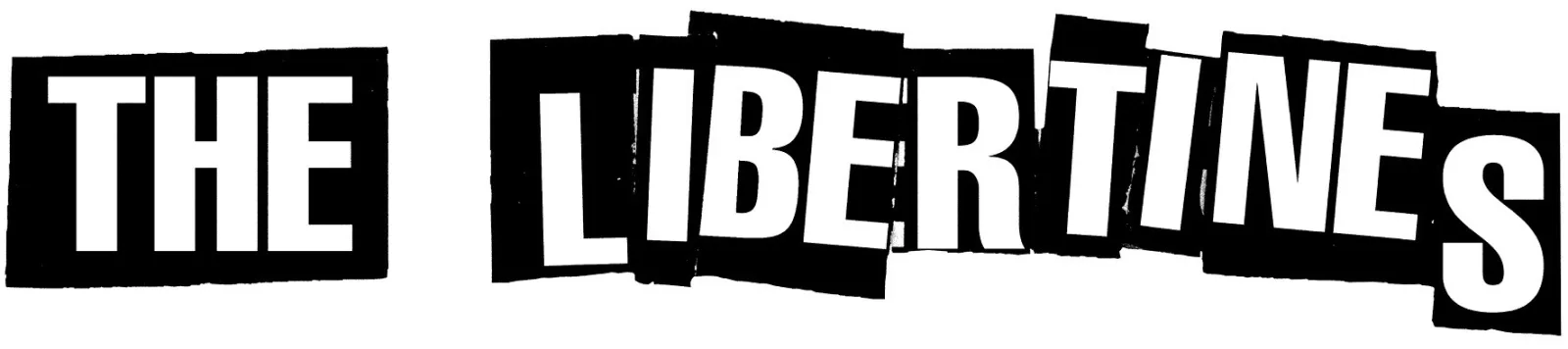 The Libertines - Gary Powell