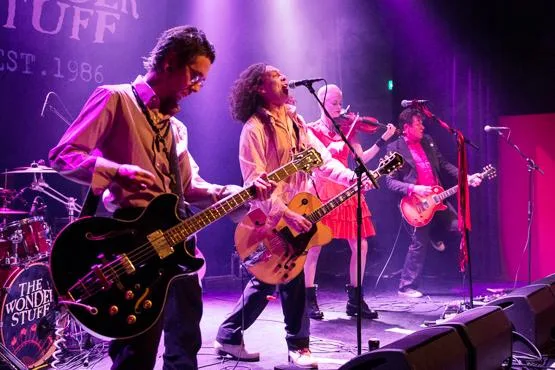 The Wonderstuff @ the Waterfront