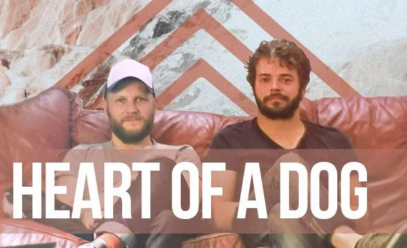 Heart of a Dog, Wooden Arms & Cove Hithe // NAC - 13.02.2014