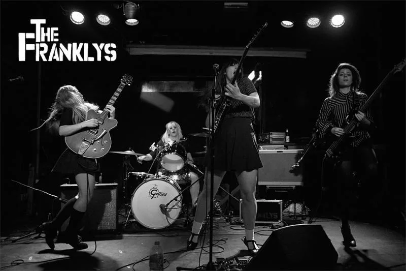 The Franklys @ The Owl Sanctuary, Norwich