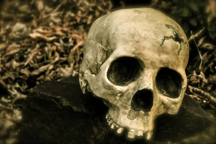 Hamlet @ Millennium Library