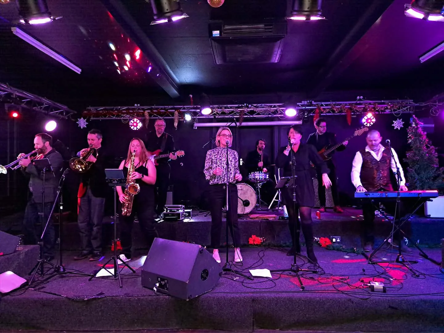 The Blue Lion Band 