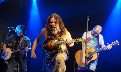 Hayseed Dixie
