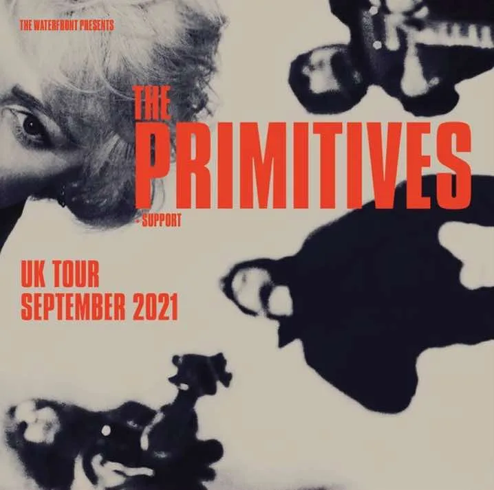 The Primitives