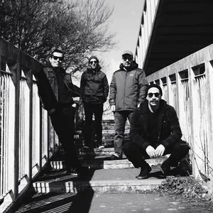(IVW) Ravenous Hounds + Rats As Big As Dogs