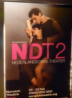 Nederland Dance Theater NDT2