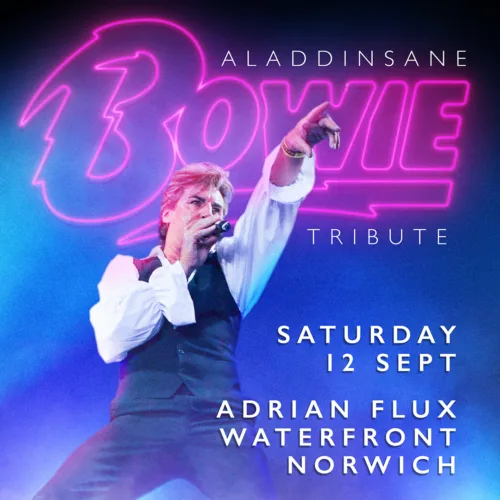 Aladdinsane – The Sound & Vision Of Bowie Tribute