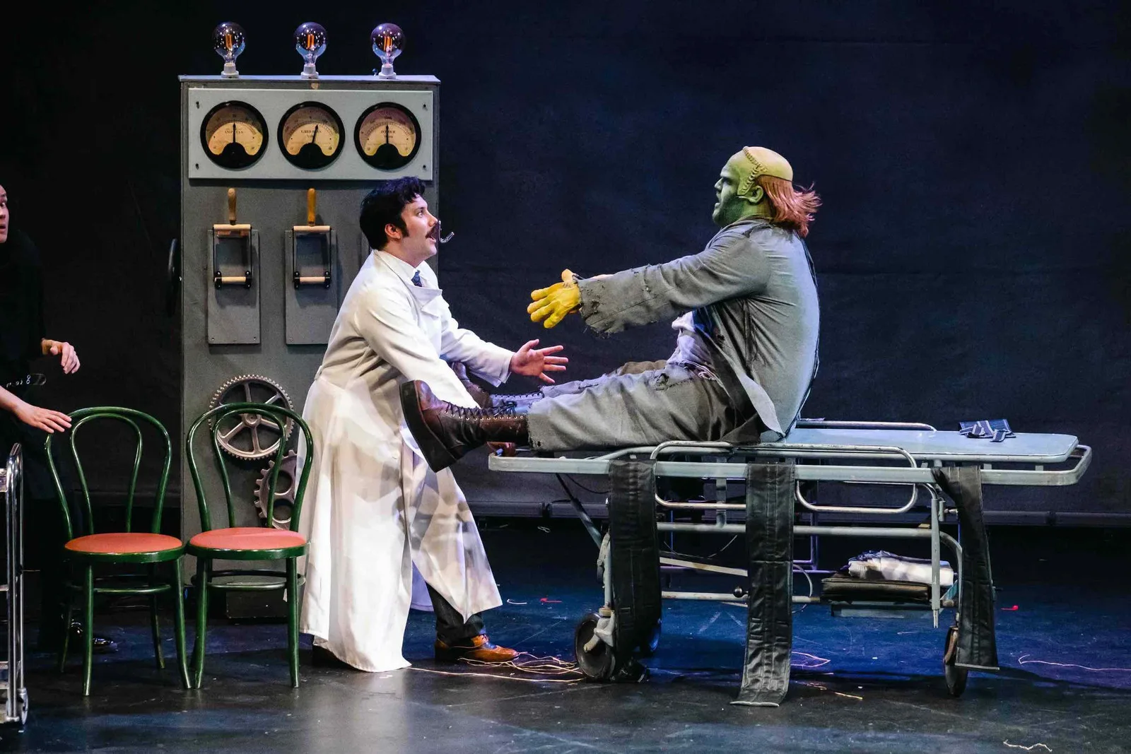 Young Frankenstein