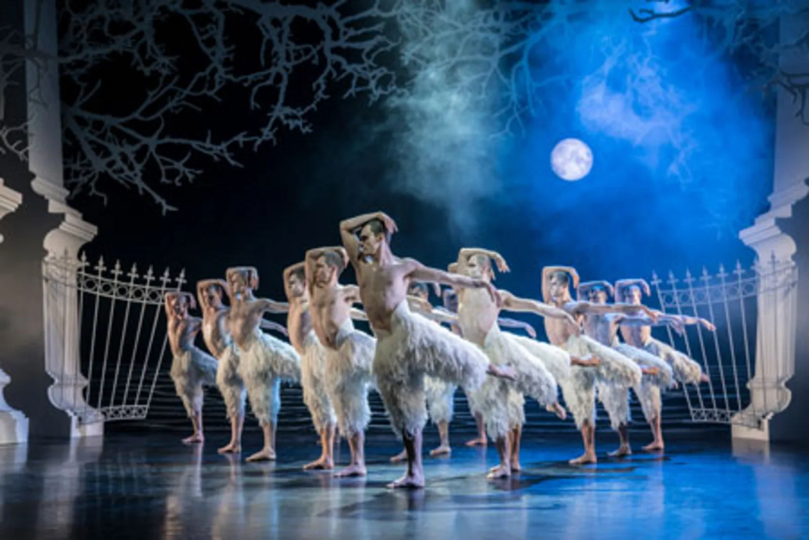 Swan Lake