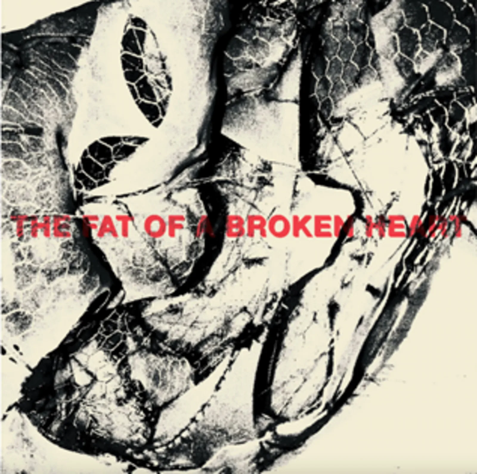 CATCHER – THE FAT OF A BROKEN HEART