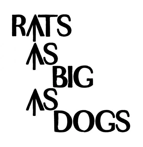 Rats As Big As Dogs - Attract