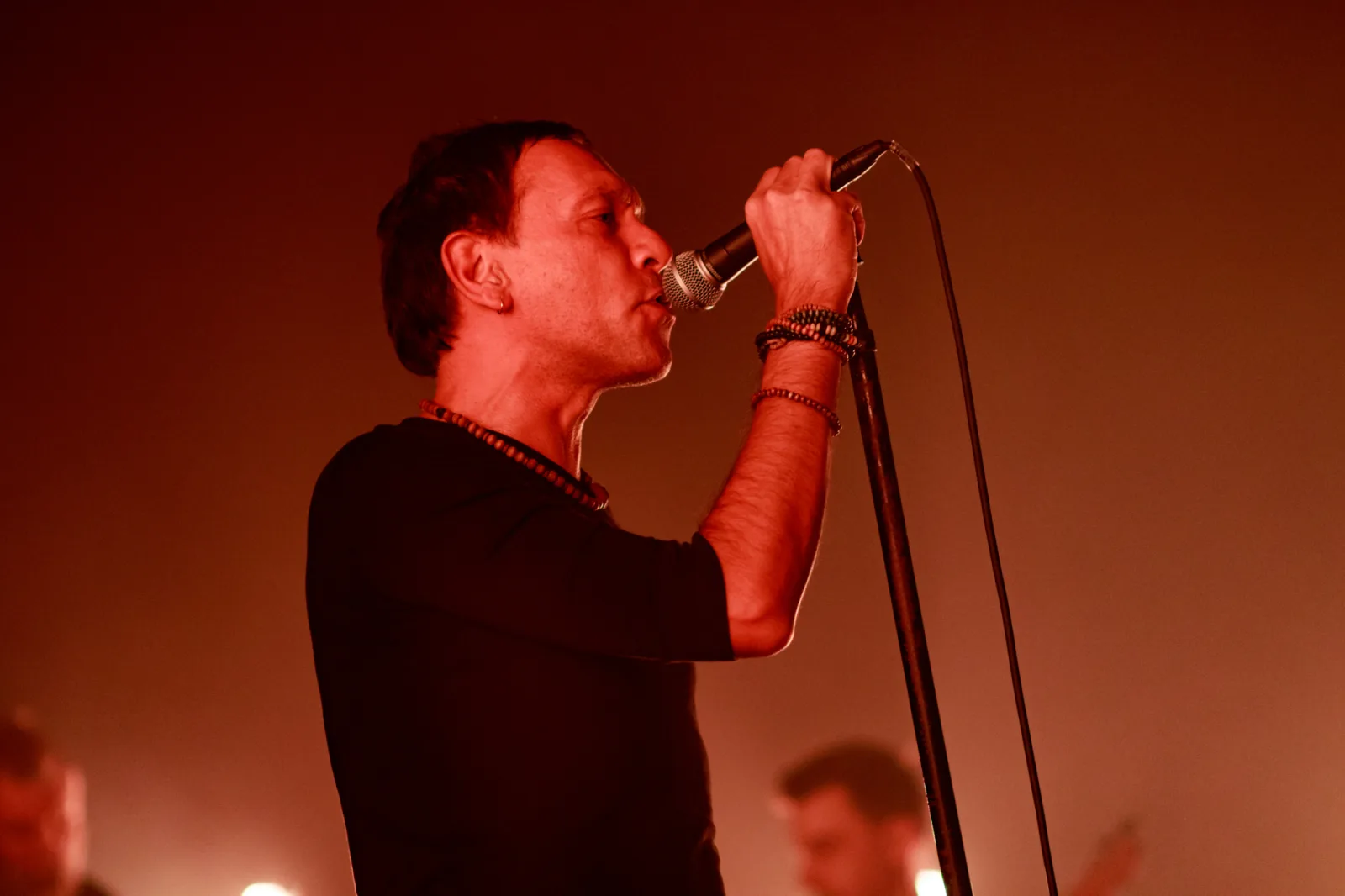 Shed Seven