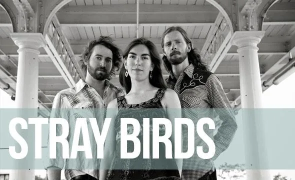 Stray Birds // NAC 06.02.2014