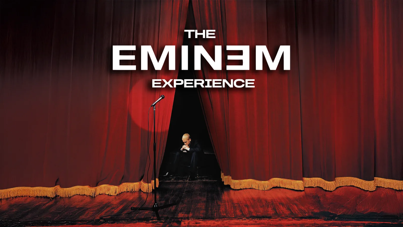 The Eminem Experience - May 2027