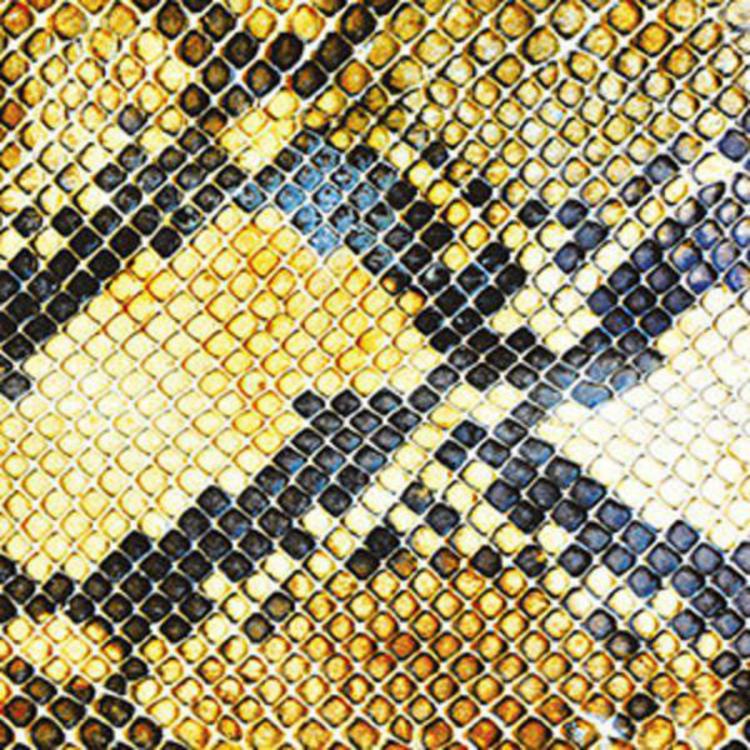 The Amazing Snakeheads // Amphetamine Ballads