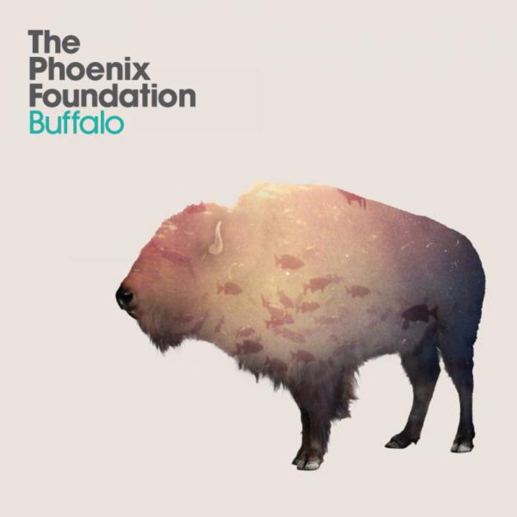The Phoenix Foundation // Buffalo