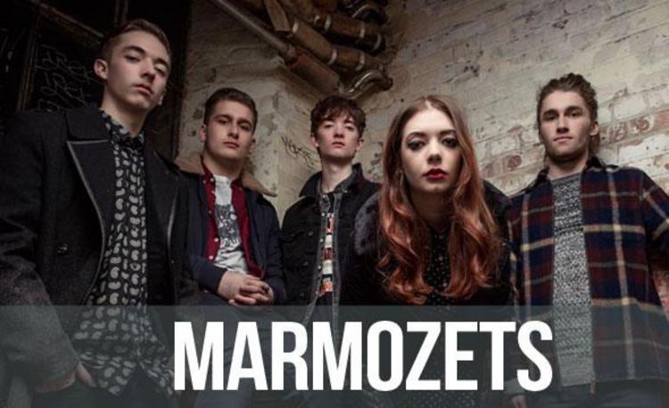 Marmozets