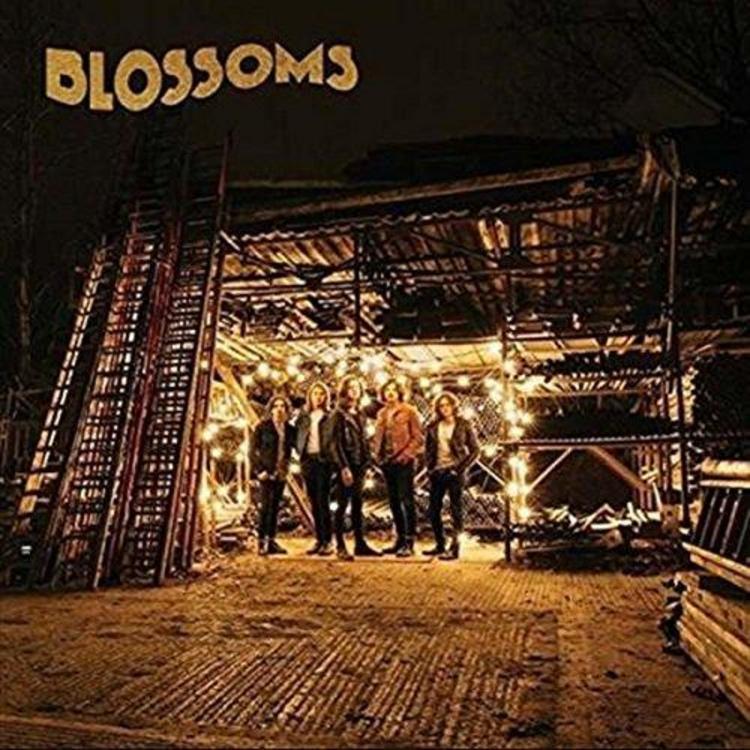 Blossoms - Blossoms